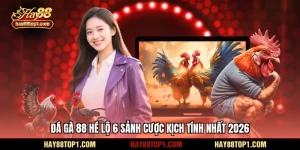 đá gà 88