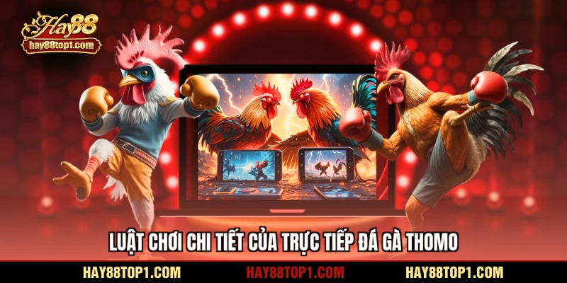 Luật chơi chi tiết của trực tiếp đá gà Thomo