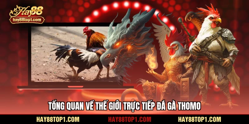 Tổng quan về thế giới trực tiếp đá gà Thomo